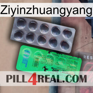 Ziyinzhuangyang new04